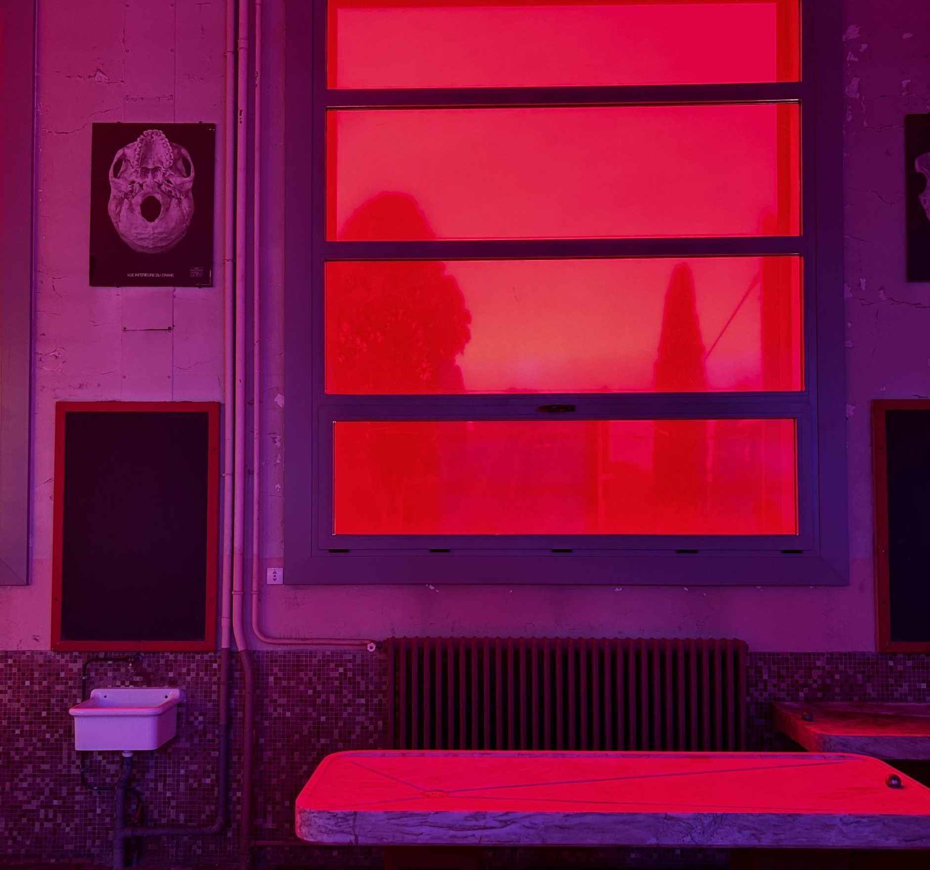 Camille, an installation by Sylvain Fraysse