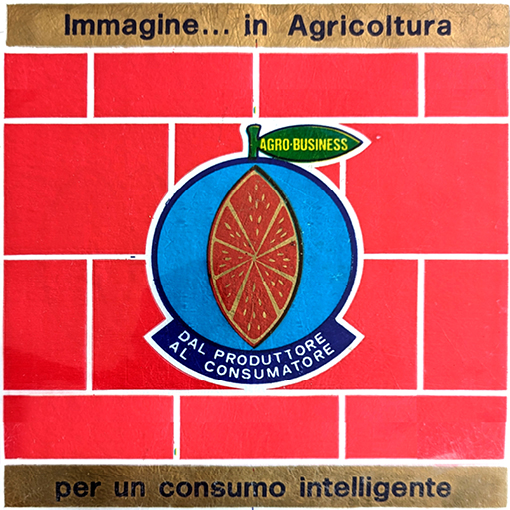 Superbemarché, citrus papers & Co #1 : Exhibition